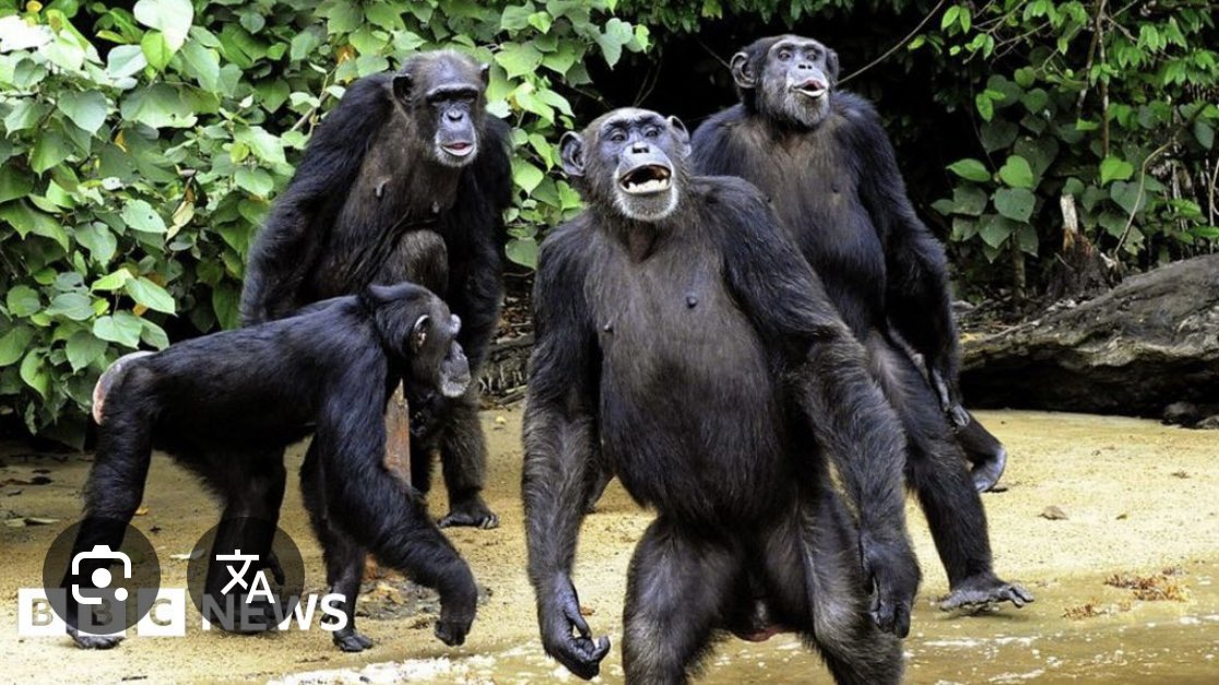 Mo-Techno-T tweet media