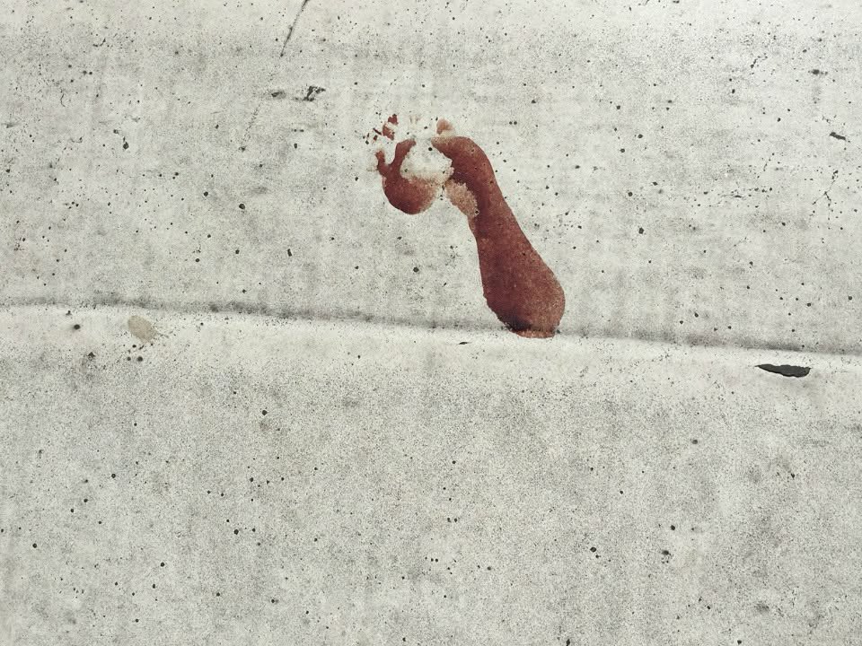 Mrs. Kasey Kash tweet media