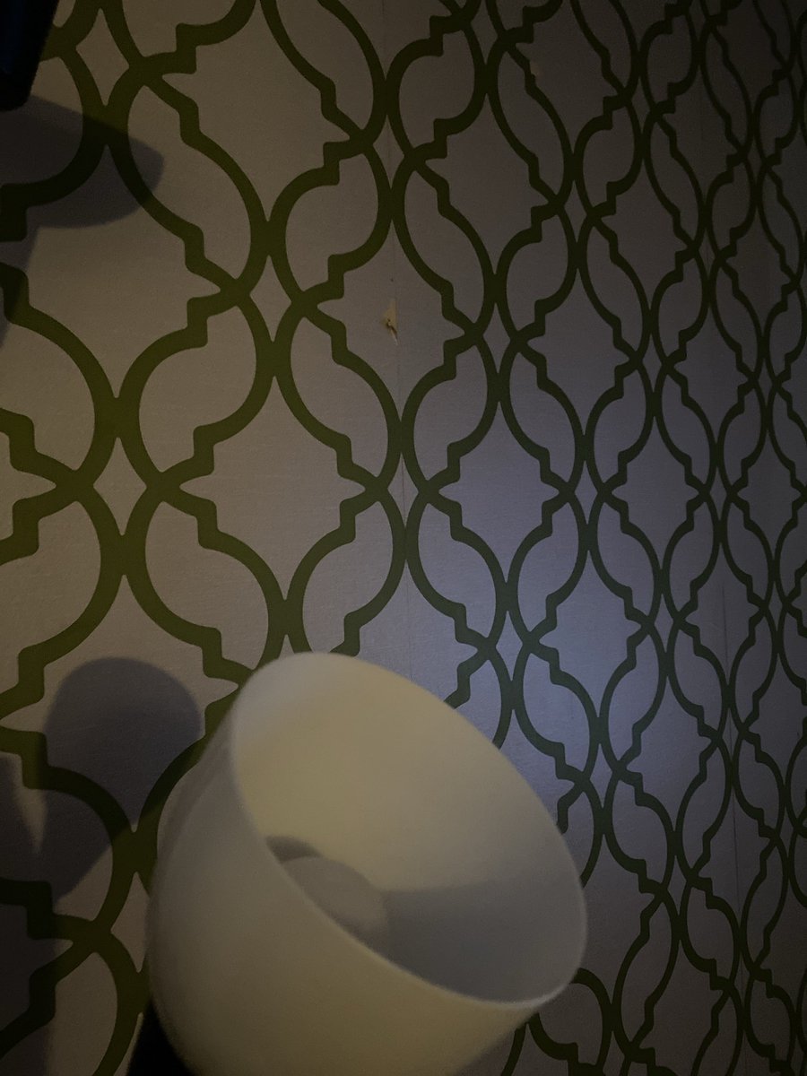 photographyyy30's tweet image. wallpaper in the living room. #greenpattern #lamp #studentphotography #pattern