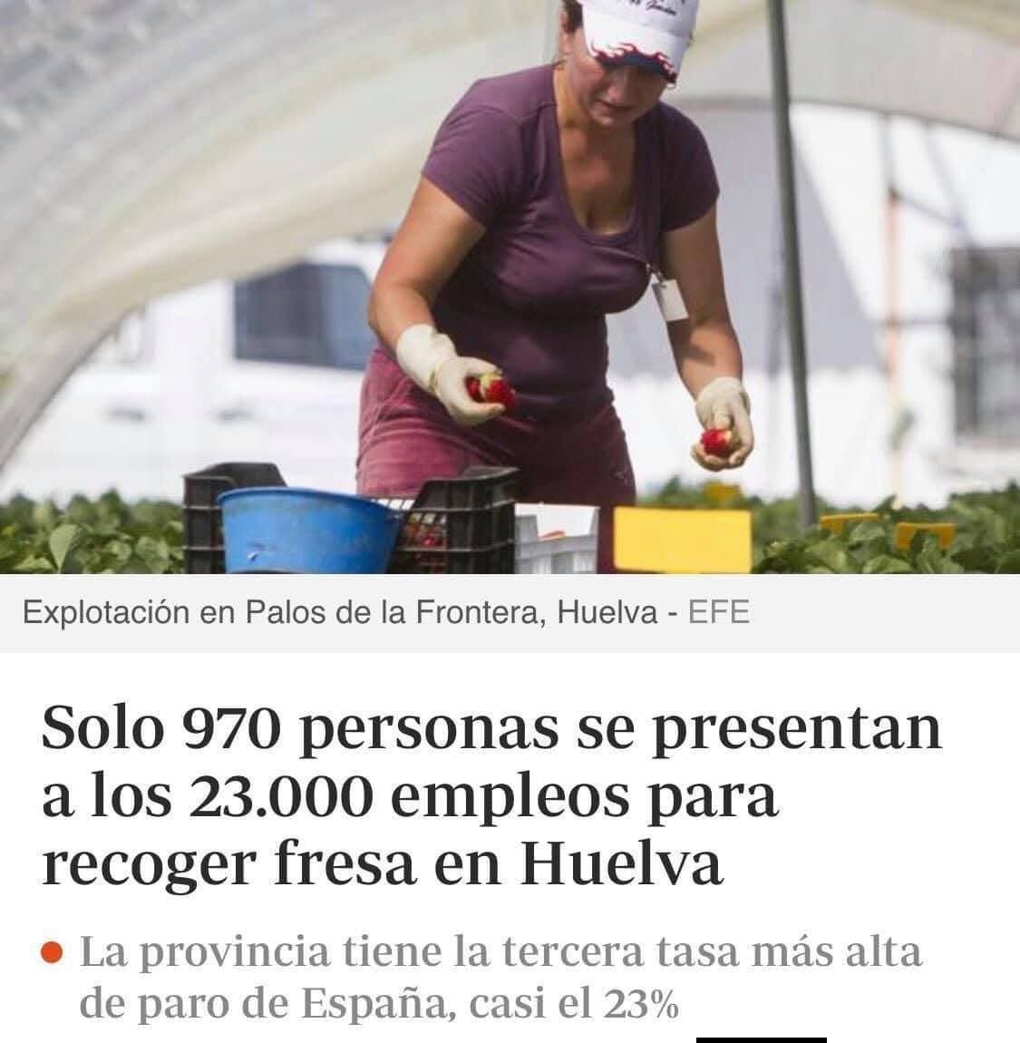 Javi Marenas tweet media