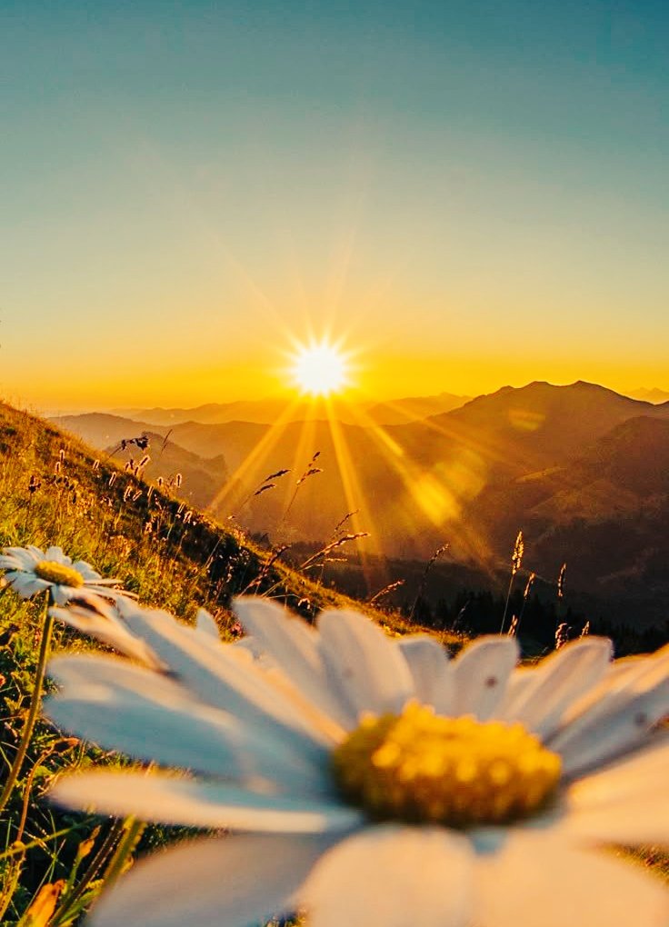 GOOD MORNING X NATION 🌞 🌄 
°
Every sunrise brings a new chance to grow and shine,
So step forward with confidence and a happy heart.
°
Connect 🤝🖤🔥