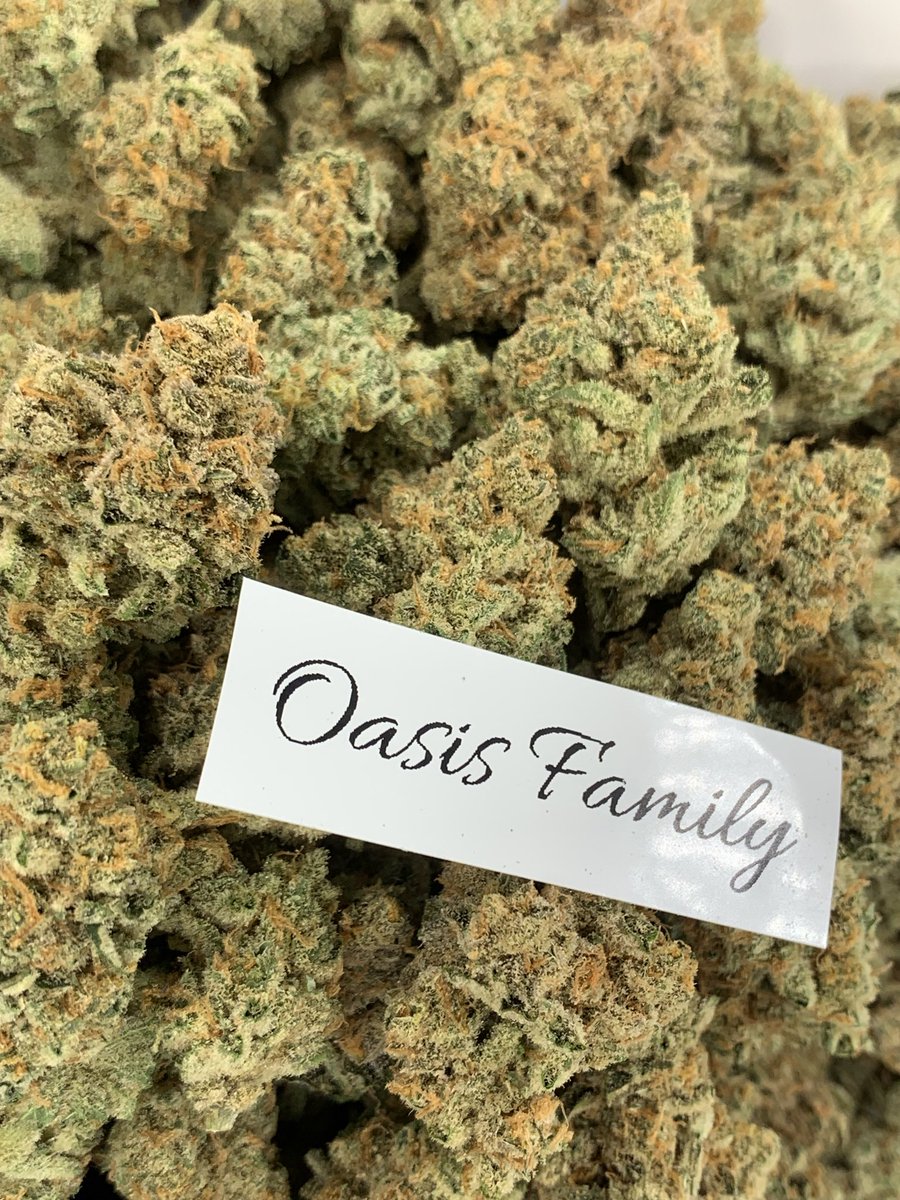 Subsisｻﾌﾞ tweet media