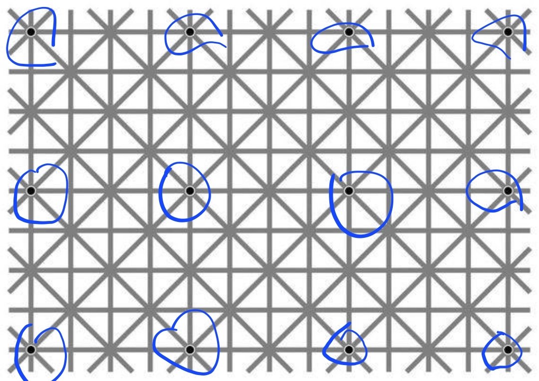 hanauta_KR tweet media