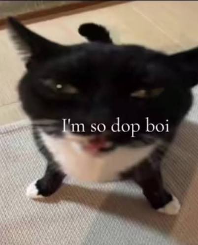 🐏 —— "𝐒𝗮𝗰𝗿𝗶𝗳𝗶𝗰𝗮𝗹 𝑳𝙖𝙢𝙗" tweet media