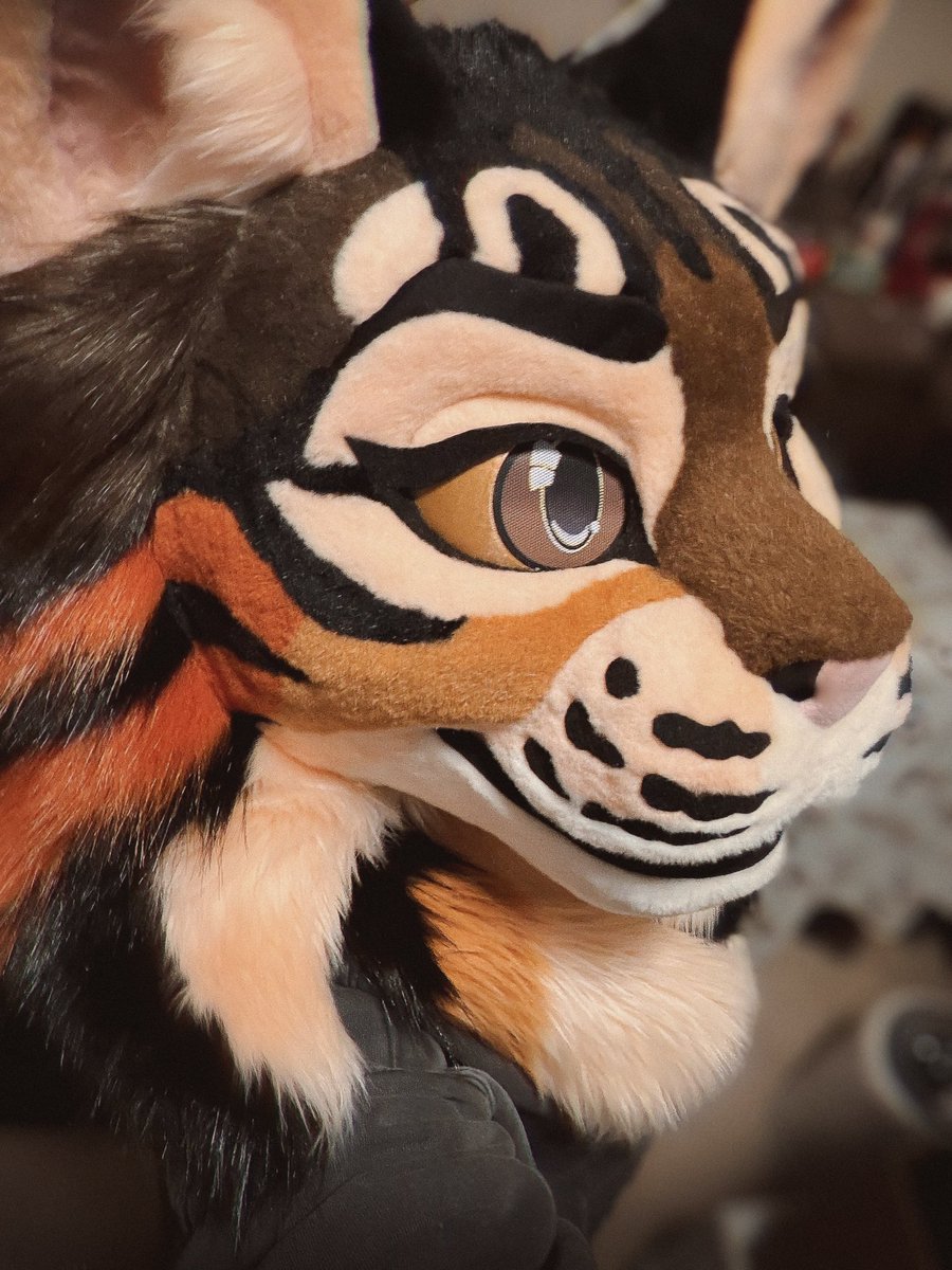 Loki🌵 tweet media