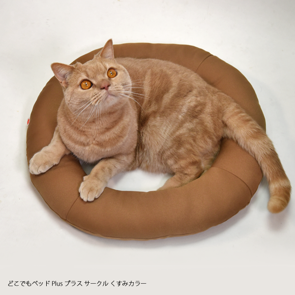 猫用品のゴロにゃん (@56nyan_com) / Posts / X