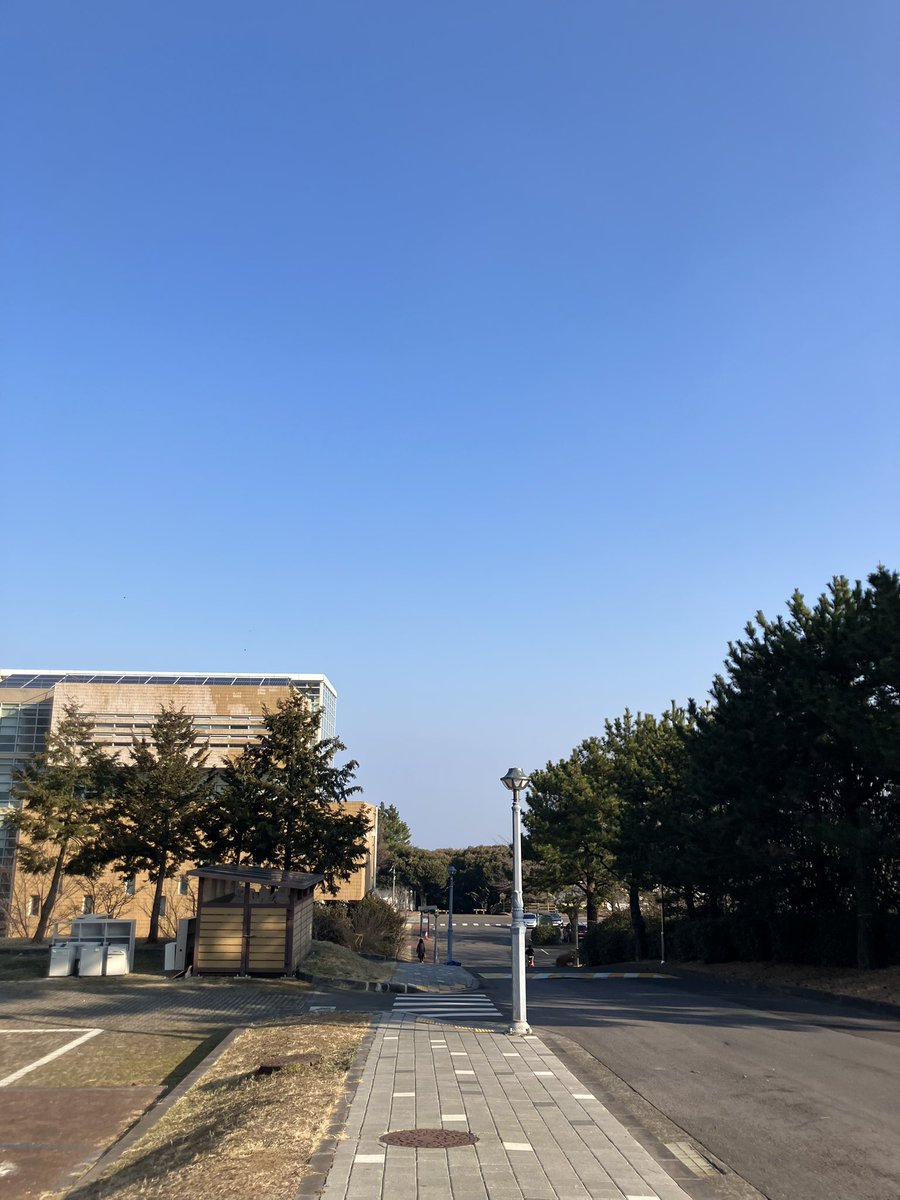 모모짱（ももちゃん） tweet media
