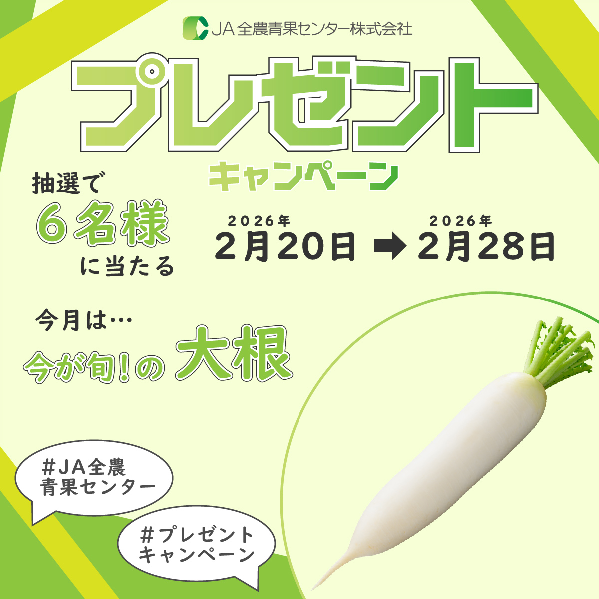 ぴよぴよこ (@pi_yo_piyoko) / Posts / X