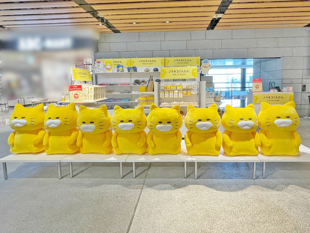 本日オープン /／ 🍜#ノラネコぐんだん POP UP SHOP🍜 🍥26/2/20(金