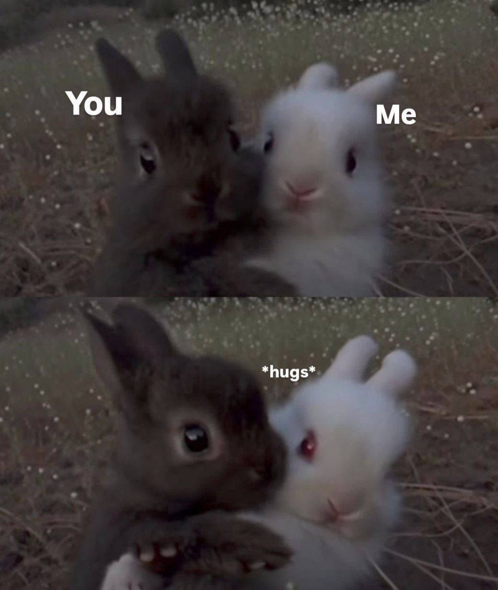 Why you should have a rabbit (@shouldhaverabit) on Twitter photo 