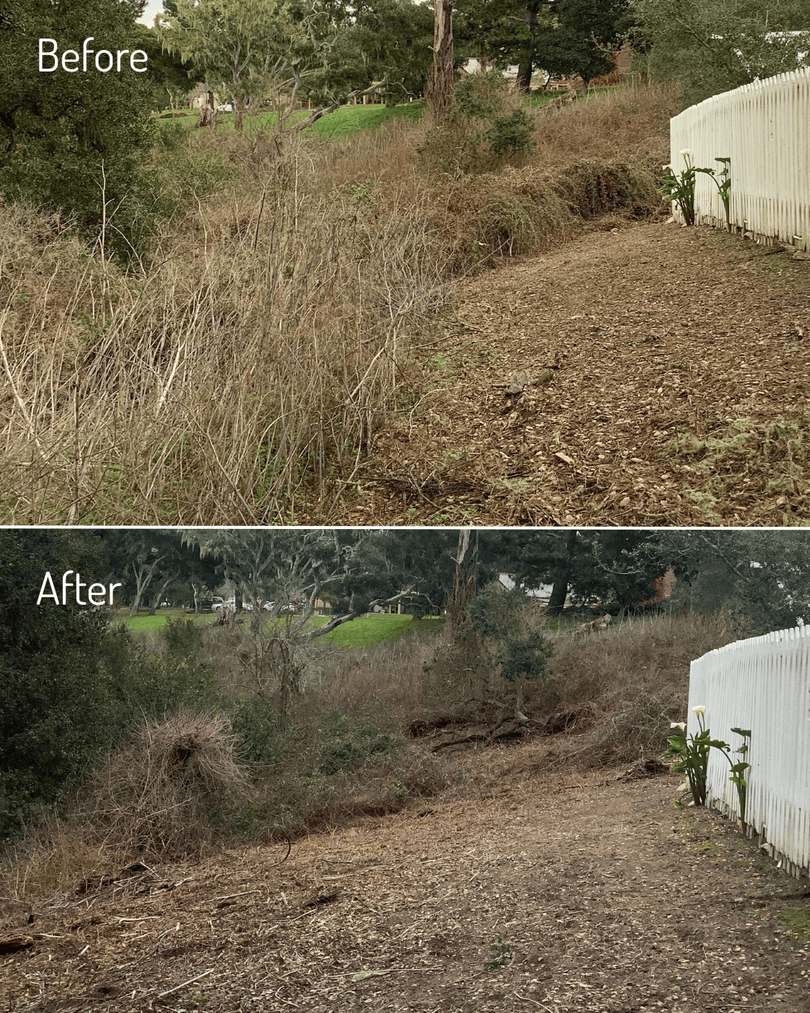 CA Fire Foundation tweet media