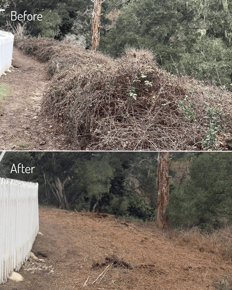 CA Fire Foundation tweet media