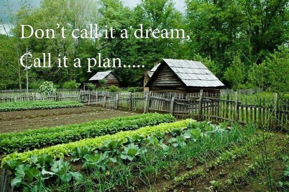 Conspiracy Gardener Homestead tweet media