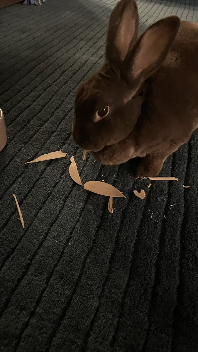 The spoon has been destroyed