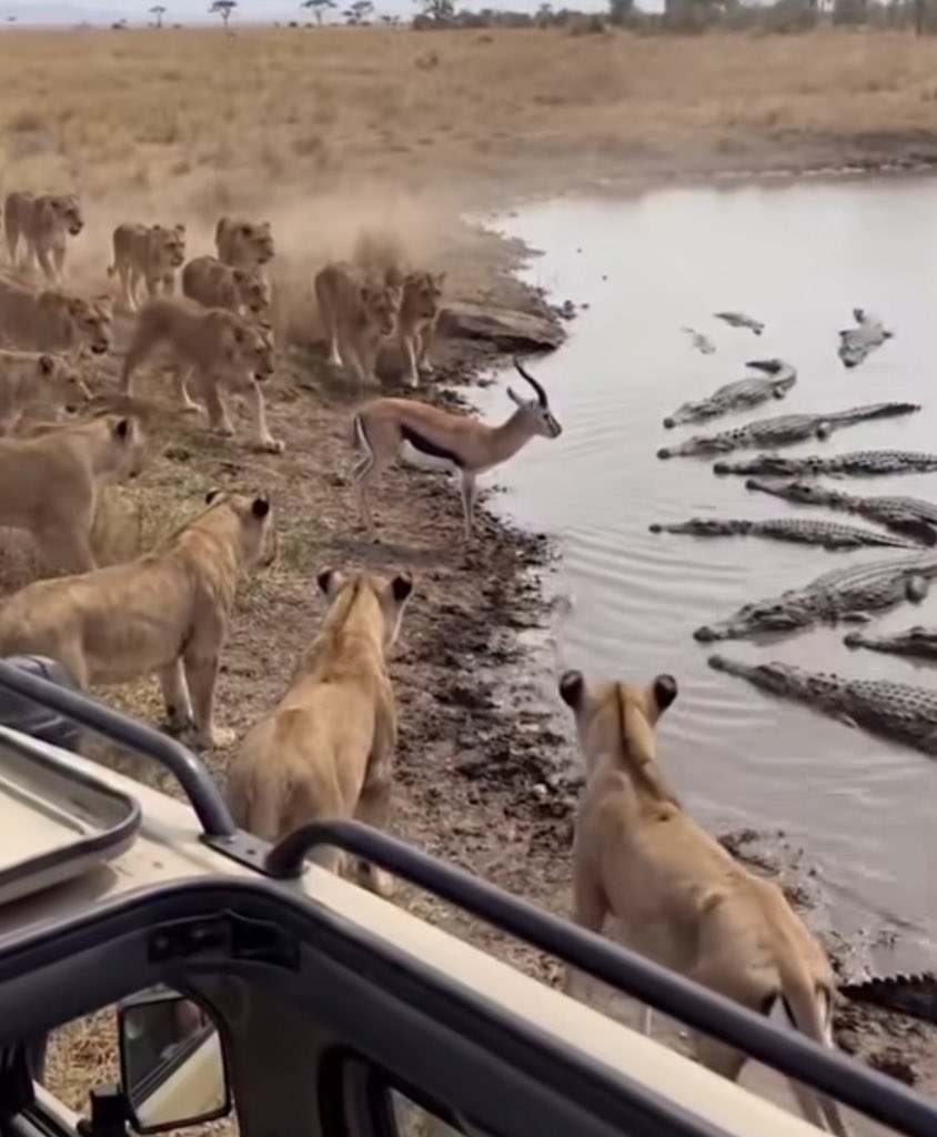 This when you know you fucked up 😂🦅