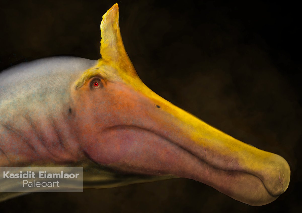 My take on the new "astonishing scimitar-shaped crest #Spinosaurus", Spinosaurus mirabilis !!