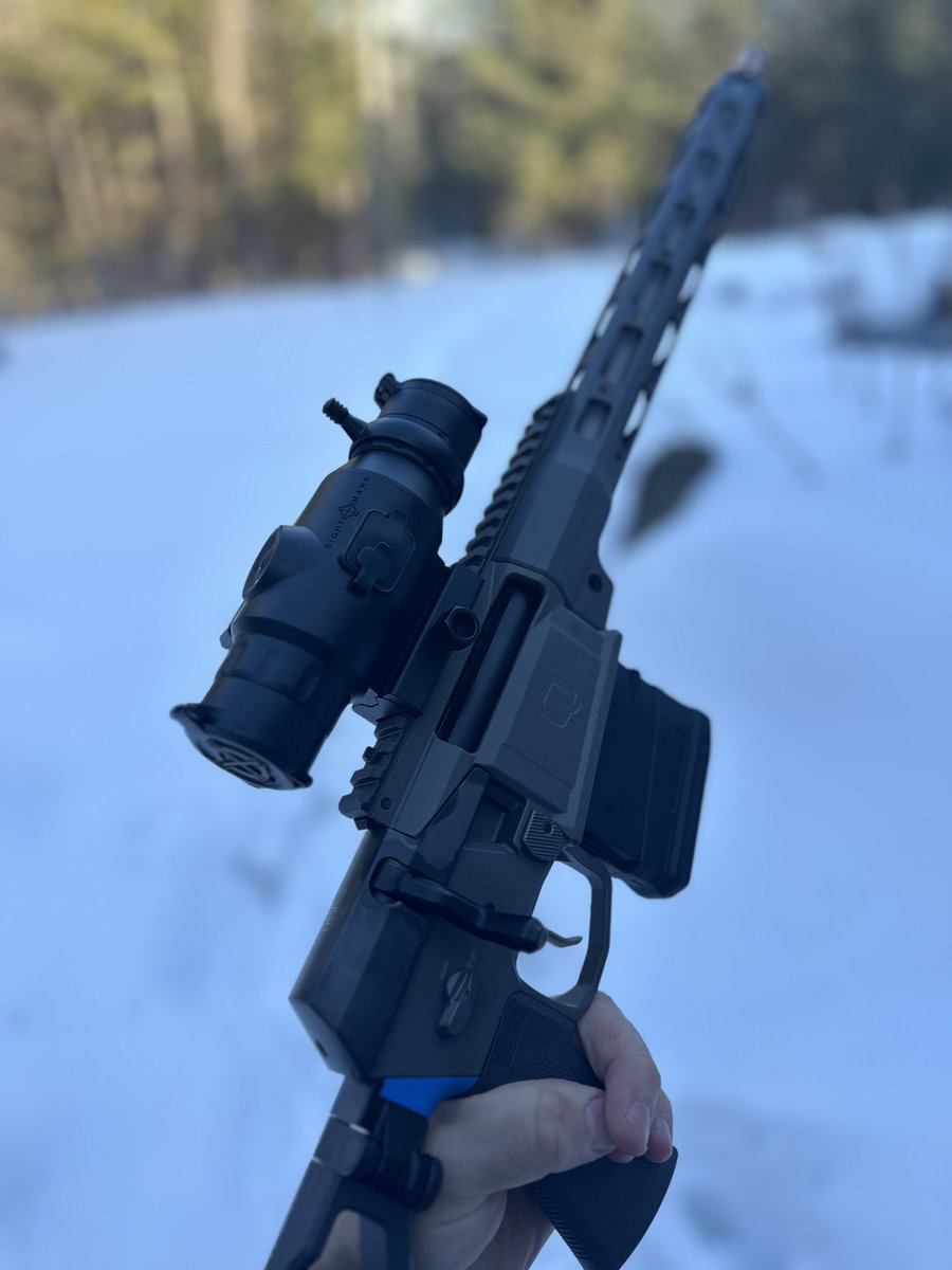 LordOfWar tweet media