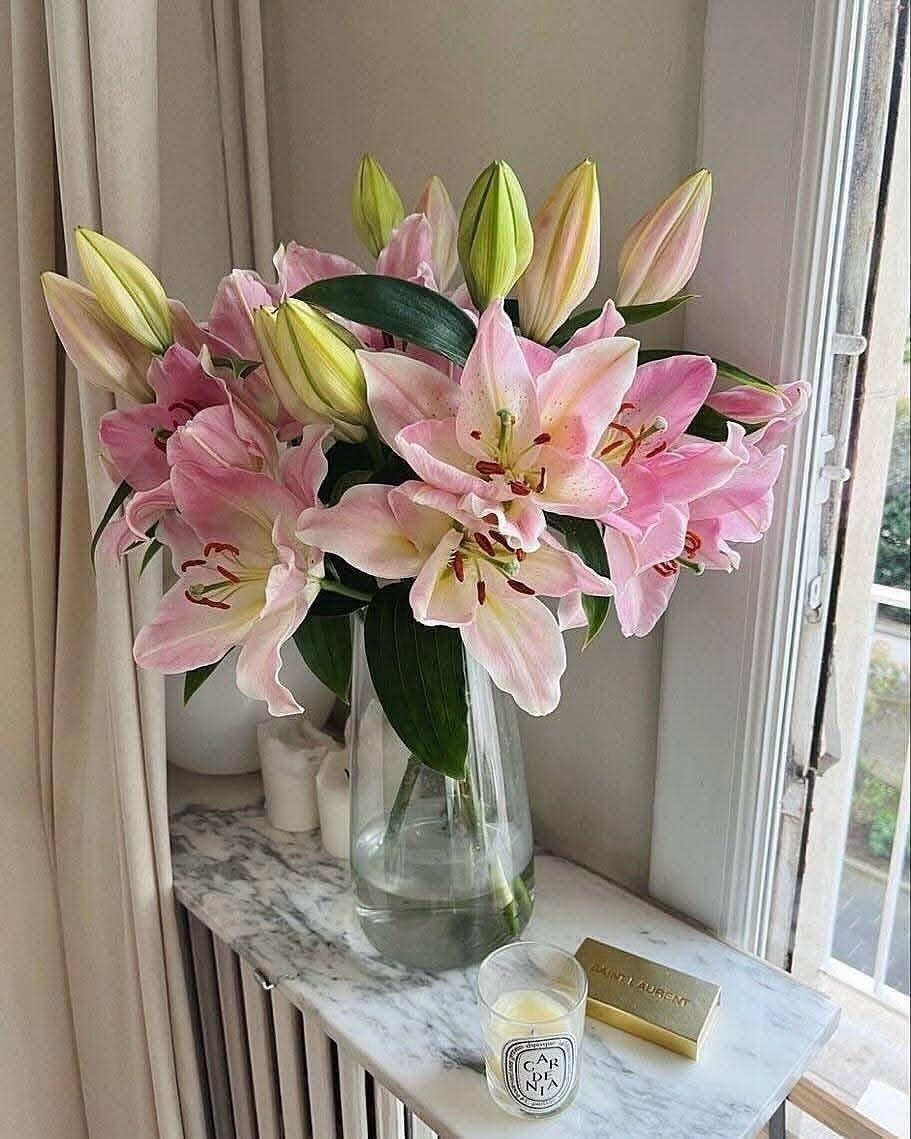 pink lilies