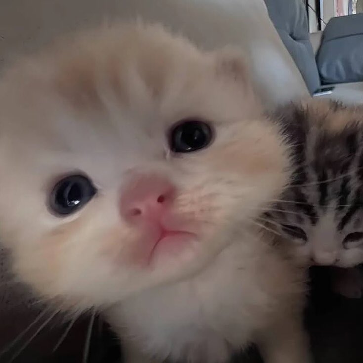 น้องแจมป่าว