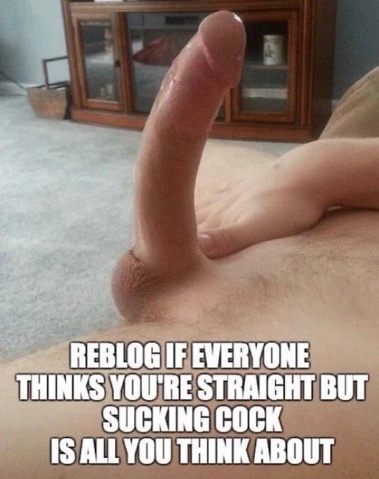 Greg Webster (@gregweb75851851) on Twitter photo 