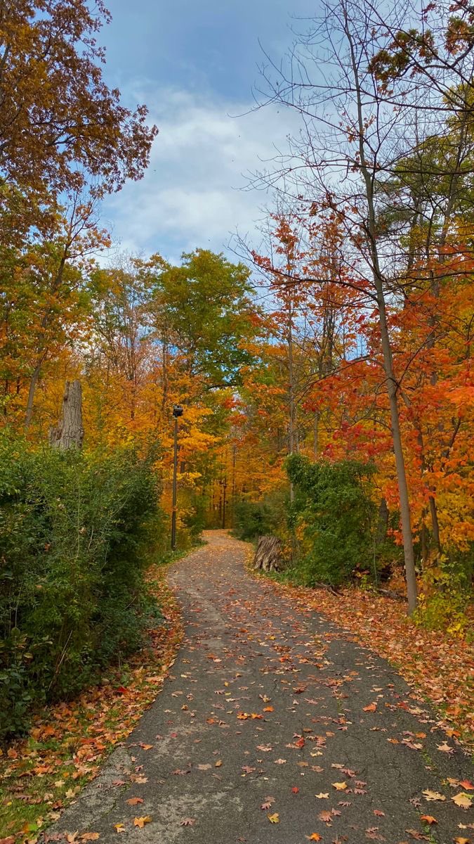 life in 7 months 🍂🎃🌧️