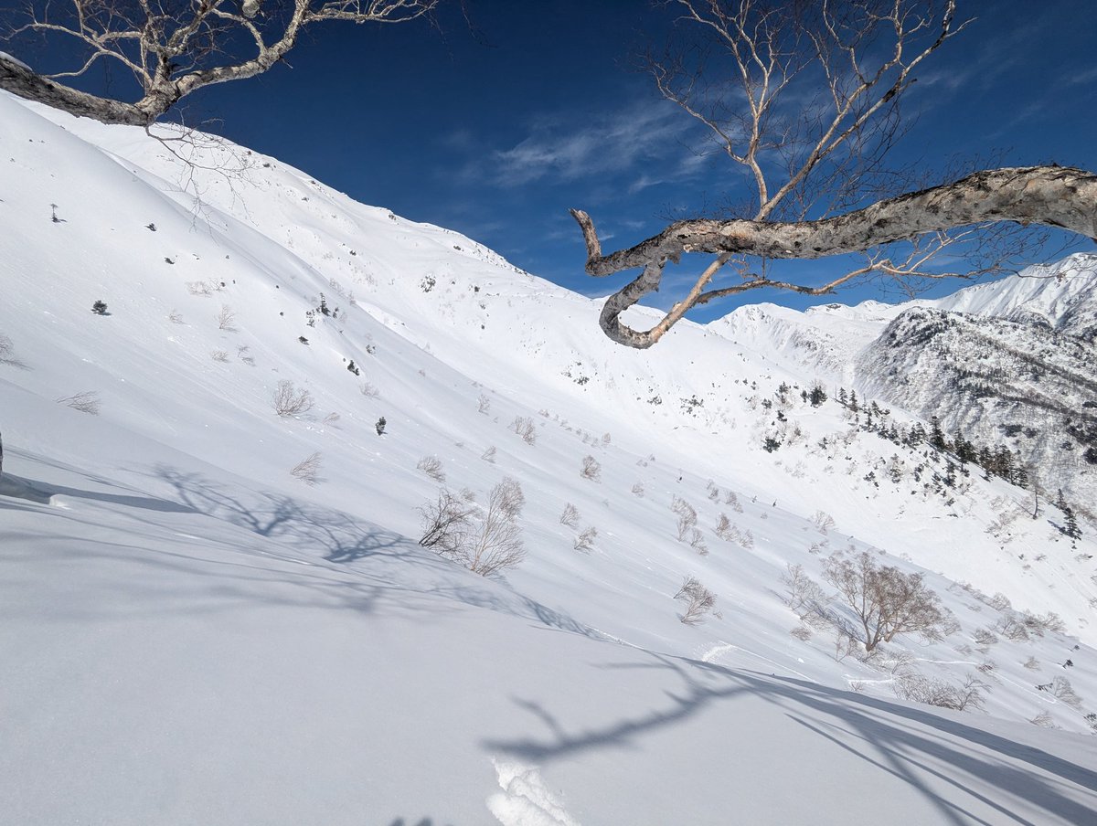 槍ヶ岳が綺麗。 雷鳥にも会えました。 貸し切りにはデカ過ぎます