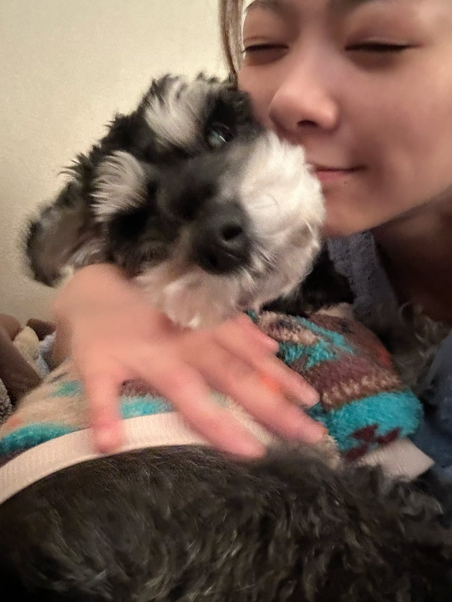 おみぃ子 (@mii19940705mii) / Posts and Replies / X