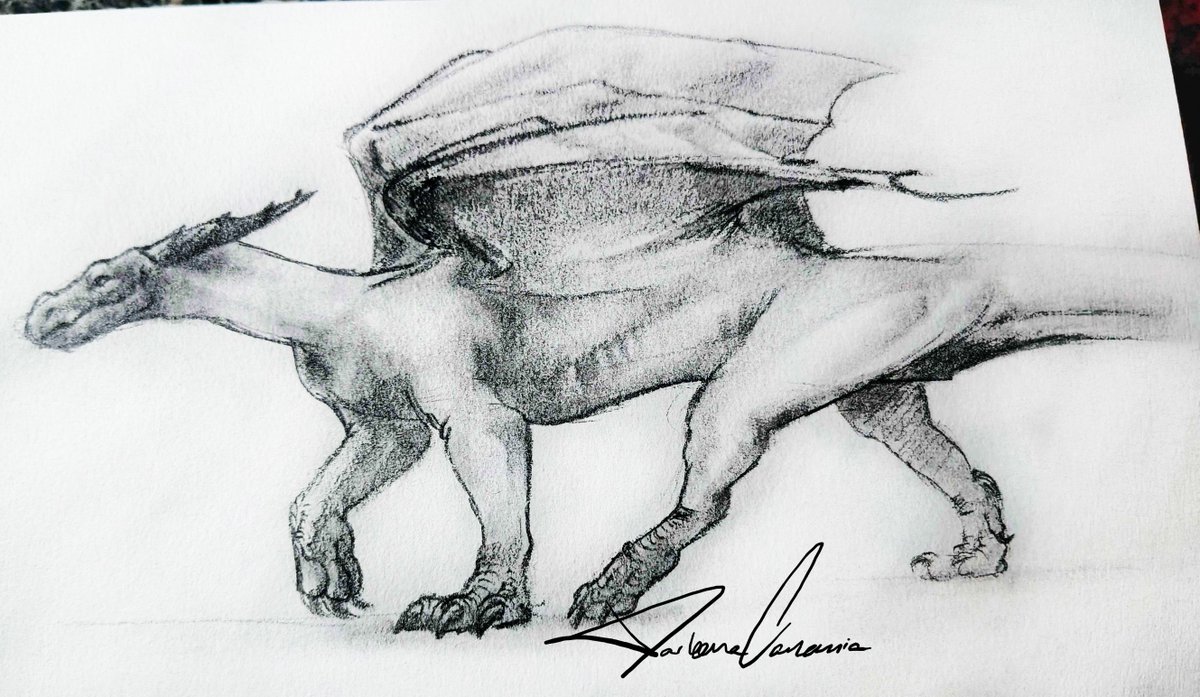 #furryart #furry #dragonart