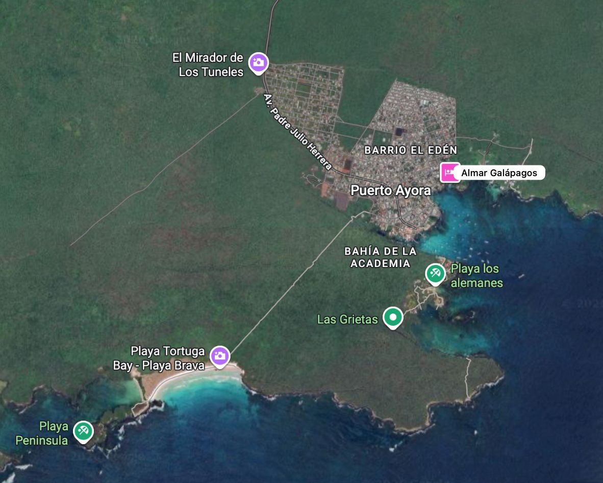 Hilo
#Galapagos #Naufragio #SantaCruz
Una lancha con turistas naufragó en la ruta Tortuga Bay-Puerto Ayora
Hoy a las 17:30 se reportó que una lancha con turistas naufragó en la ruta entre la playa de Tortuga Bay y Puerto Ayora. Según reportes preliminares se conoce que 15