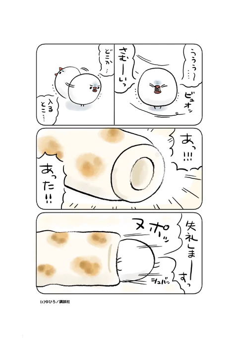 (1/1) 