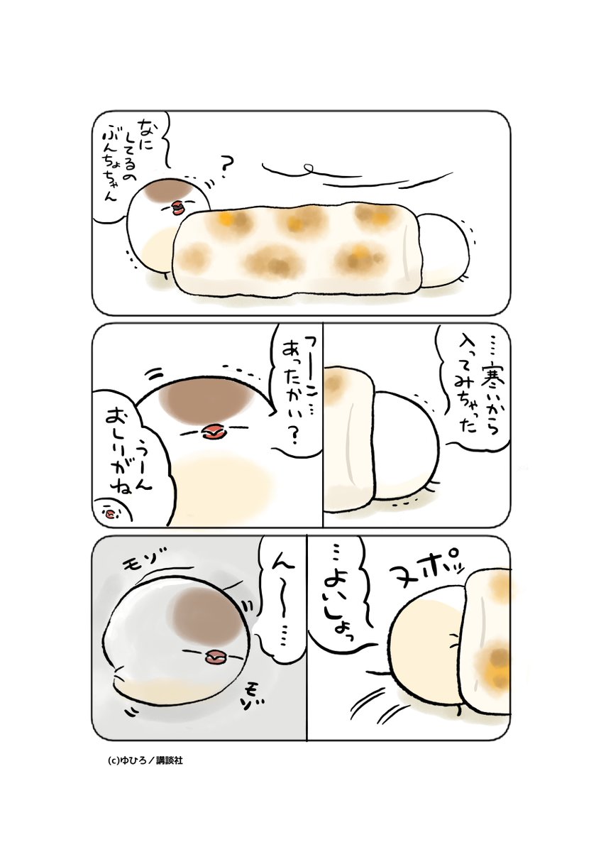 (1/1) 