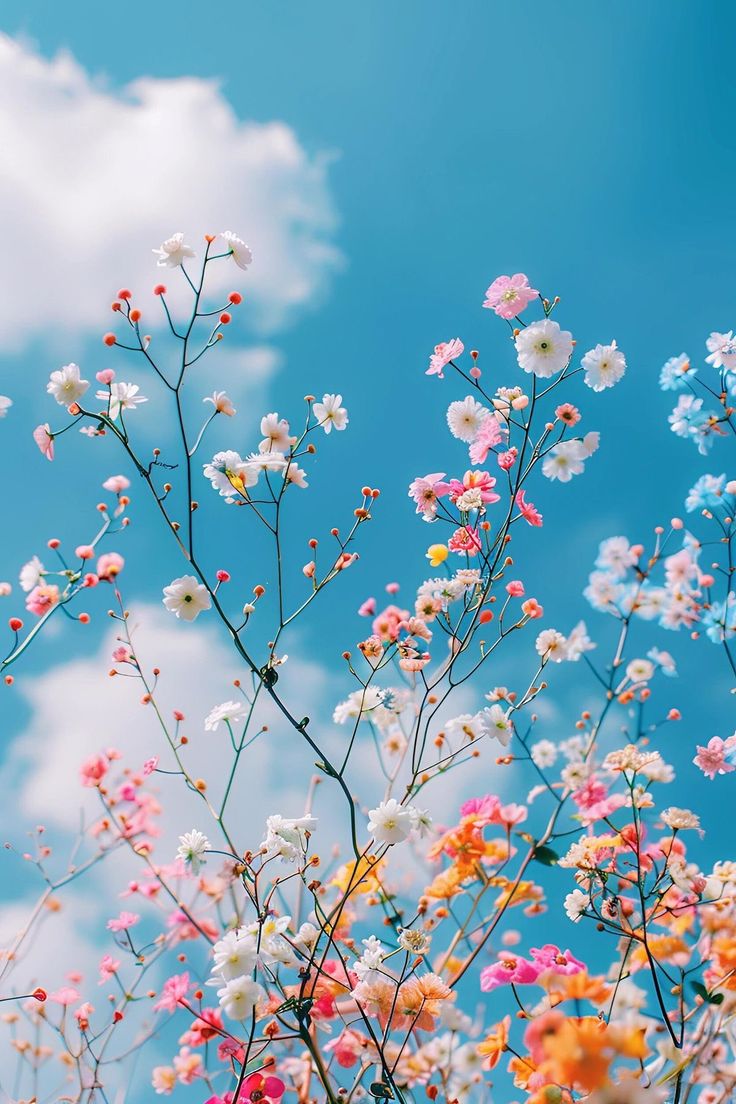 Aesthetics tweet media