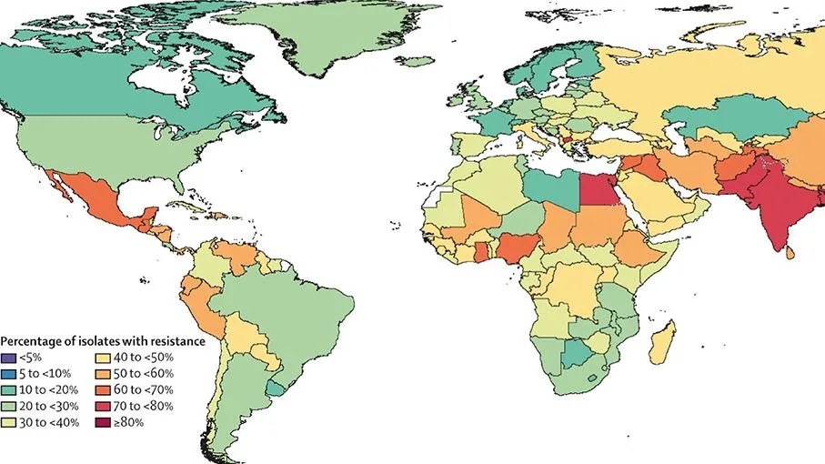Dave Scolte tweet media