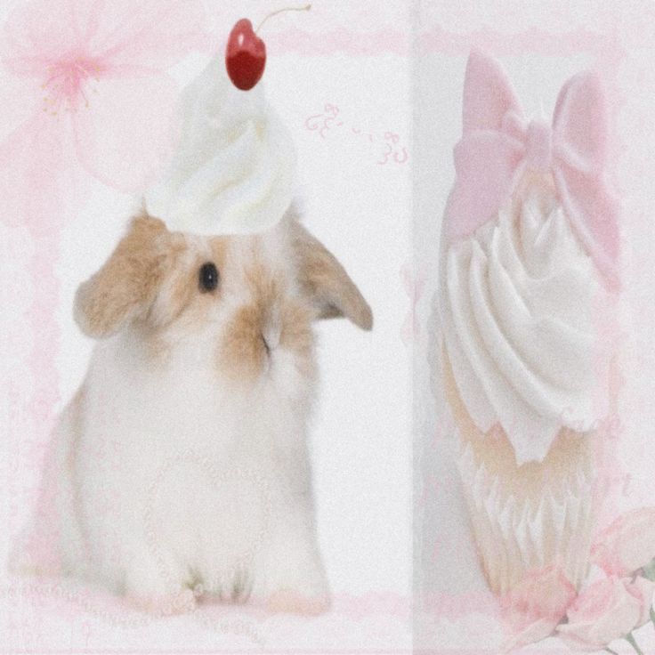 vani◞ lian (@buniedol) on Twitter photo 