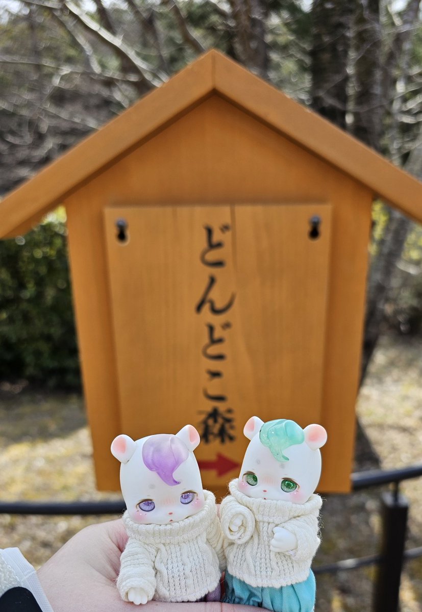 mokuwamo's tweet photo. 今天來吉卜力公園，一直想看看小梅的房子，不過比想像中小一點wwwww
因為昨天太累，就沒幫熊熊們換衣服了🤣 https://t.co/JyrRTIvBBy