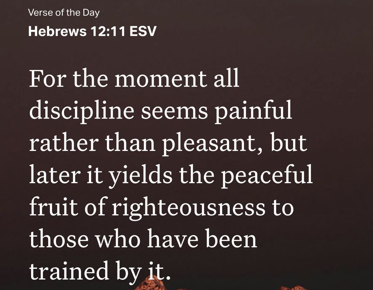 jakeseay6's tweet photo. I’ve been in the Word deep this month and discipline is something that will change our lives if we embrace it! 📖 #BibleStudy https://t.co/3enVtM9KG5