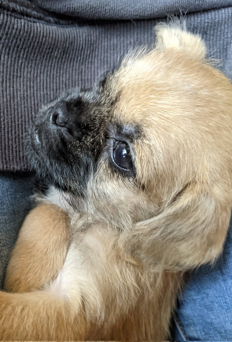 ←🐕️1歳 4歳🐕️→