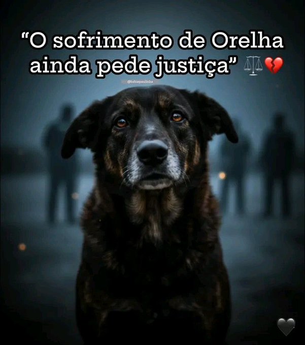 Justiça por ORELHA