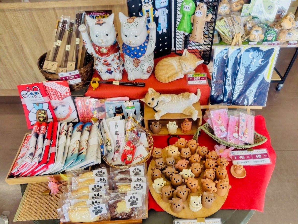 2月22日は #猫の日🐾#さきたまテラス に猫好き必見の特設コーナーが