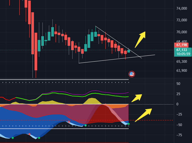 CryptoFace tweet media