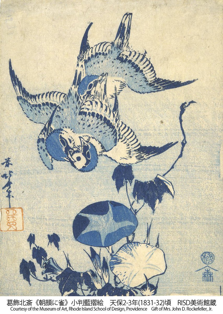 千葉市美術館 tweet media