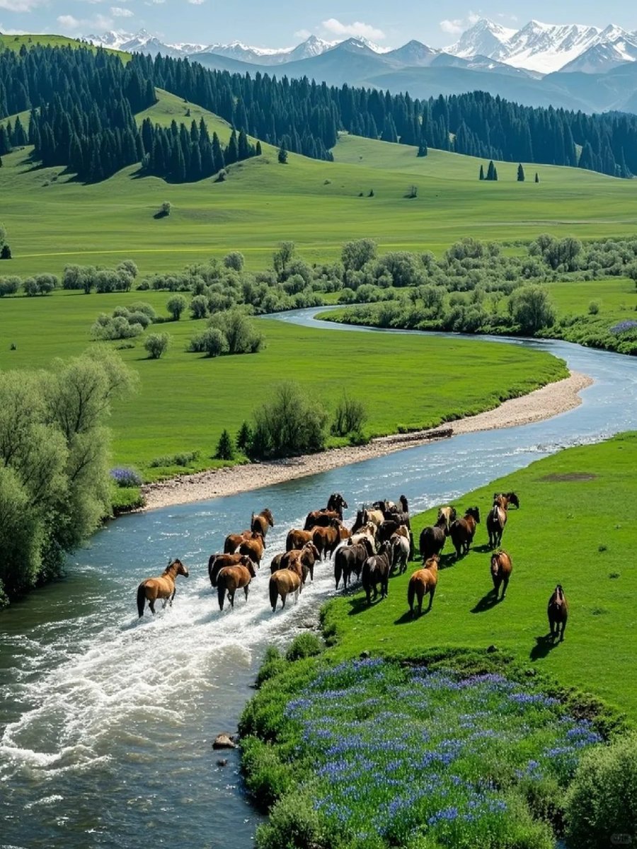 Aesthetics (@aestheticspost_) on Twitter photo 