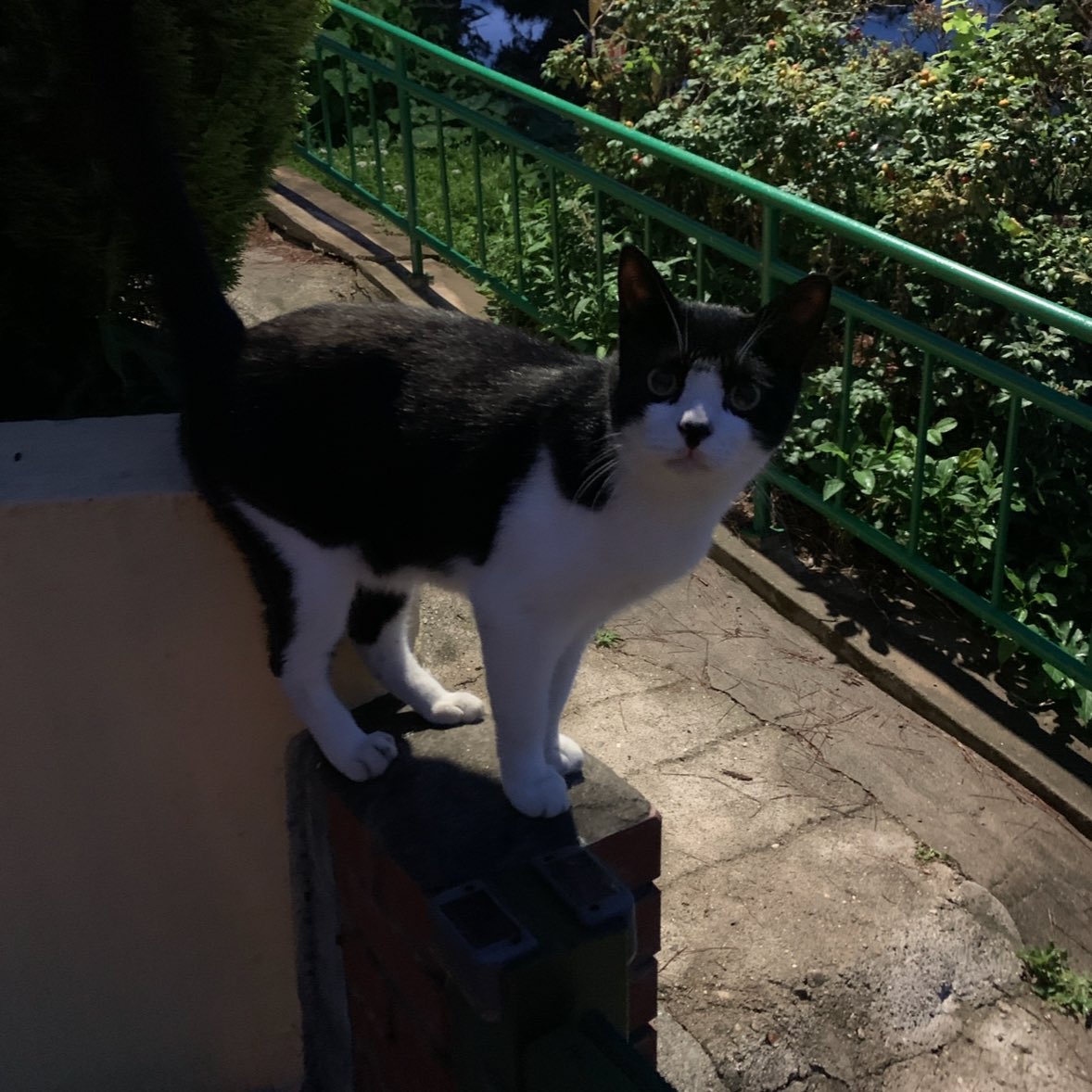 milktea_up's tweet image. 여자 혼자 묵호여행 숙소 추천
📍103LAB
강원 동해시 논골1길 19

도미토리 1박 5만원 
혼여 여행객 위주로 2인실 없고 조용해요!
라운지에서 먹을거 사워서 먹거나 책 읽을 수 있어요 (낮에는 카페)
묵호항 근처 높은곳에 위치하고 있어서 올라가기 힘든데 풍경이 좋고 일출,일몰 보러 오는 사람들이