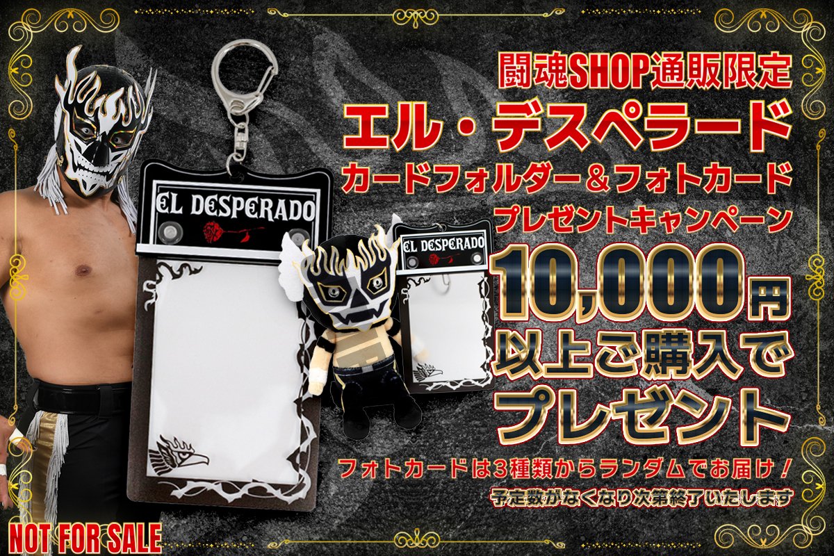 闘魂SHOP通販 NEWS🦁📢 ＼ 10,000円以上ご購入で エル