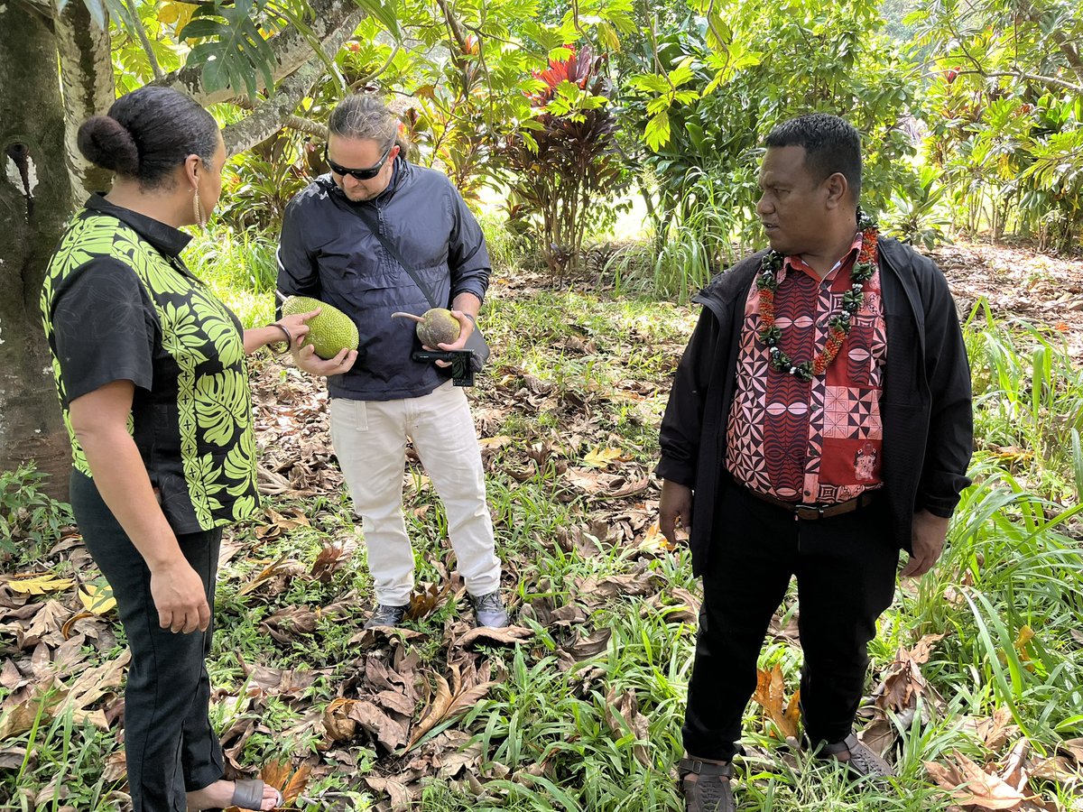 National Tropical Botanical Garden tweet media