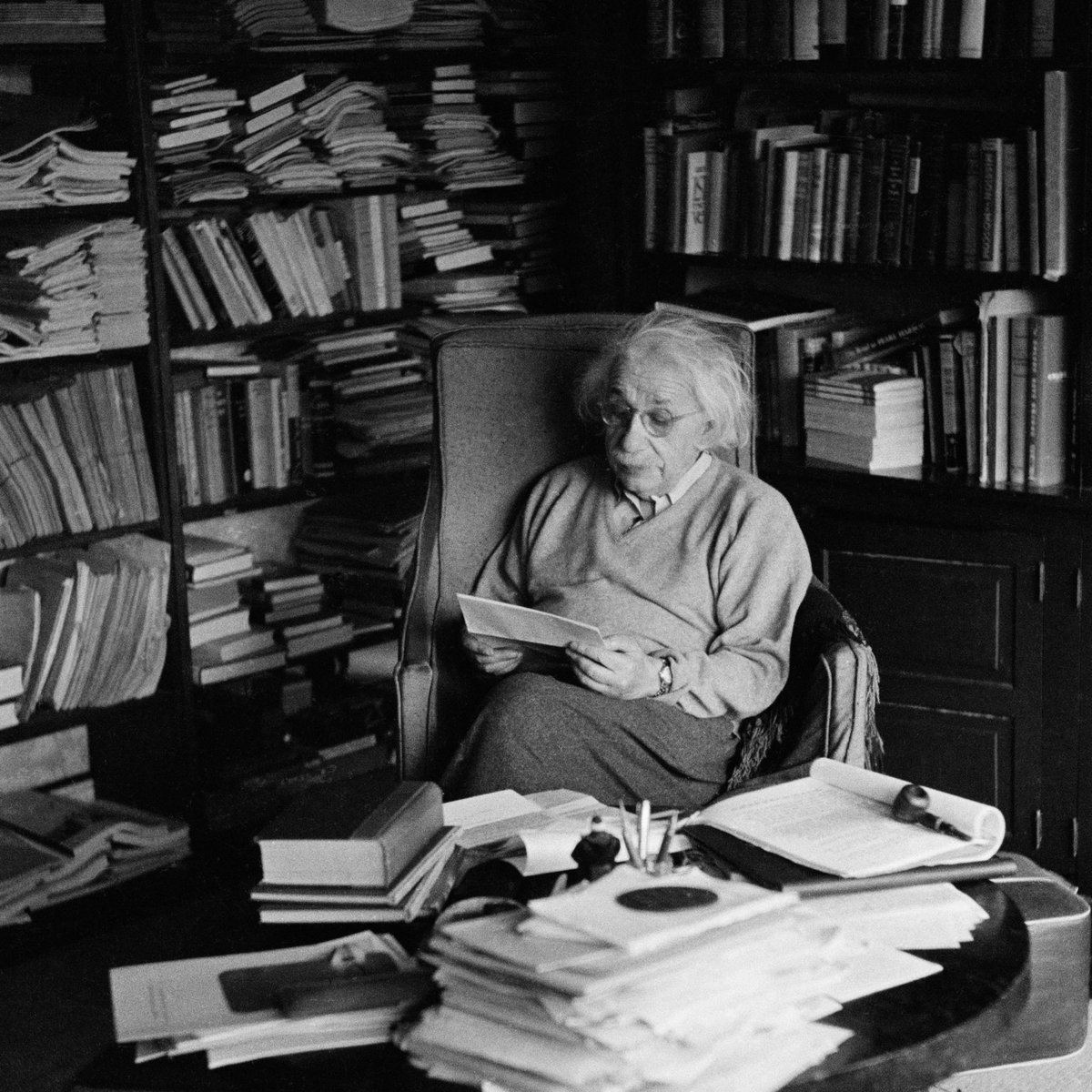 The Scientific Lens tweet media