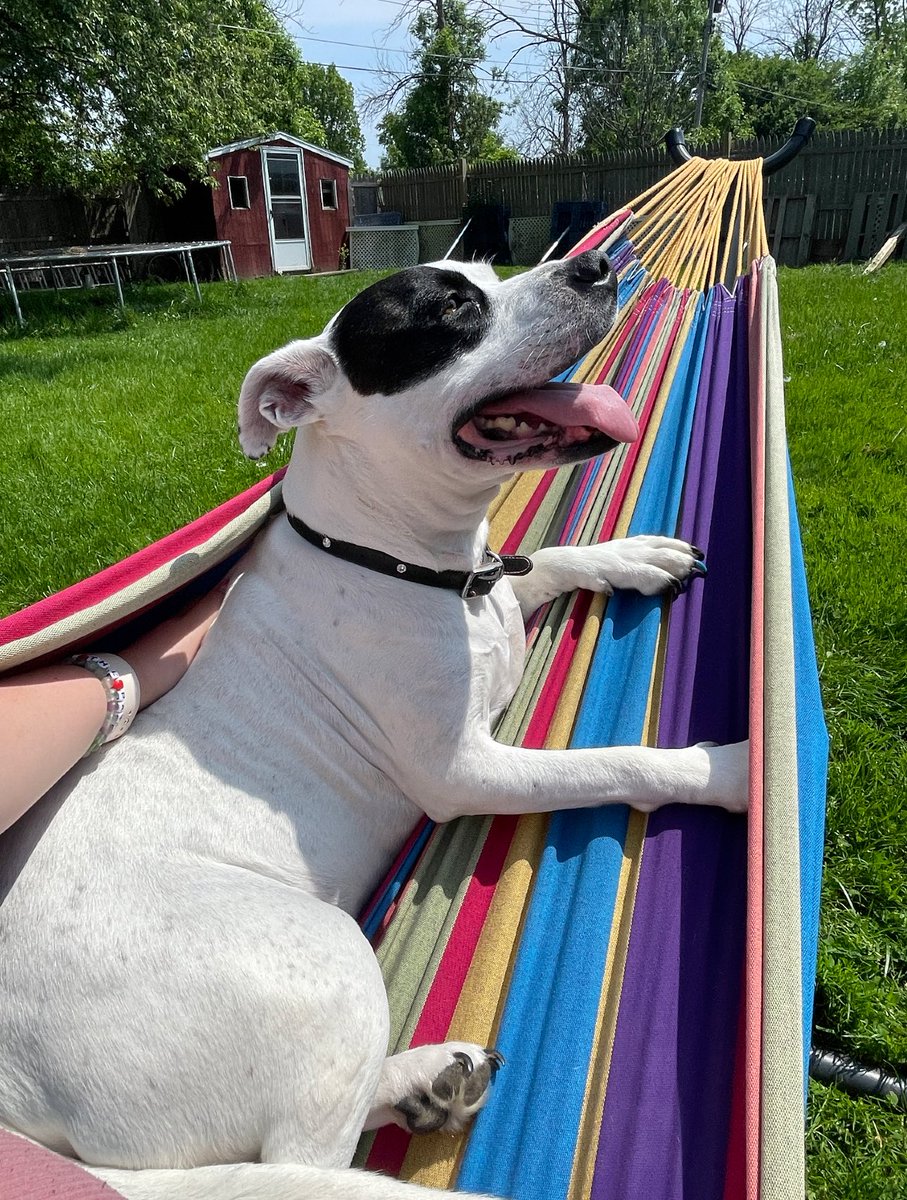 Caty is a star ☆ tweet media