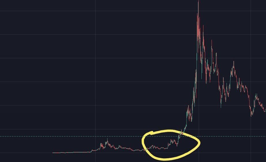 What memecoin is right here?