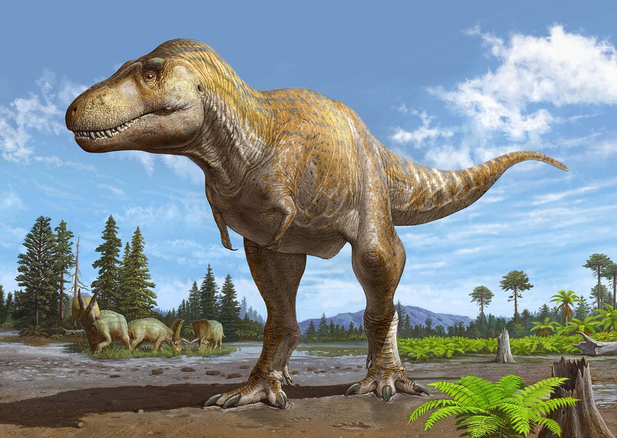 Torvosaurus gurneyi tweet media