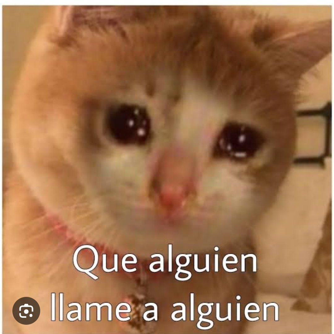 delfberon's tweet photo. me destruye el vídeo del monito porfavor https://t.co/8pjtg66321